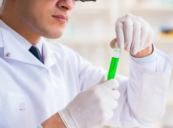 Químico que trabalha no extracto de cannabis para fins medicinais — Fotografia de Stock