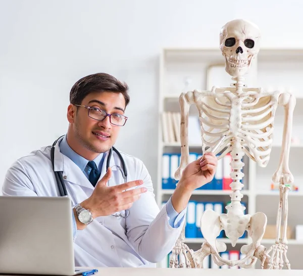 Yong male doctor with skeleton isolated on white — Stock Photo, Image