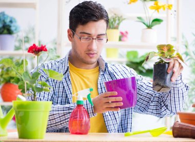 Bahçıvan çiçekçide çalışıyor. Çiçekçide çalışıyor.