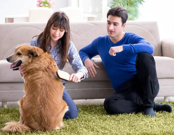 Gelukkige familie met golden retriever hond — Stockfoto