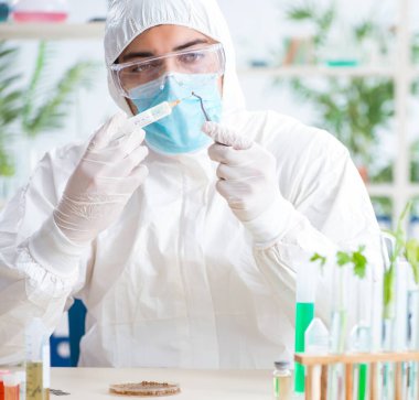 Bitkiler üzerinde çalışan erkek biyokimyacı.