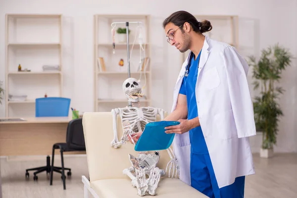 Junger Arzt schlägt Skelett-Patientin Pillen vor — Stockfoto