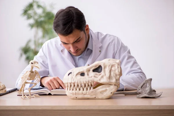 Jonge mannelijke paleontoloog onderzoekt oude dieren in het lab — Stockfoto