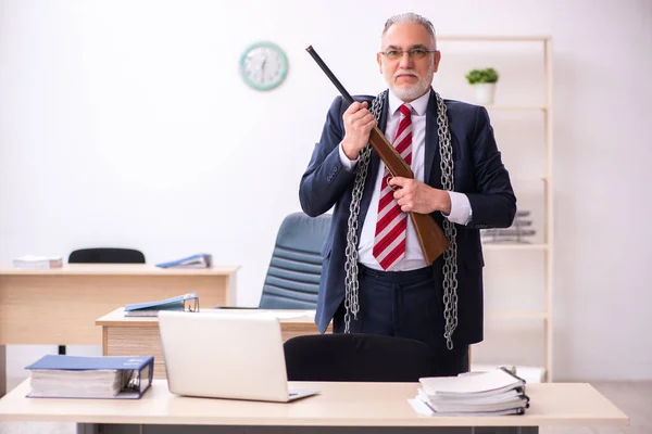 Alter Geschäftsmann Mitarbeiter hält Gewehr im Büro — Stockfoto