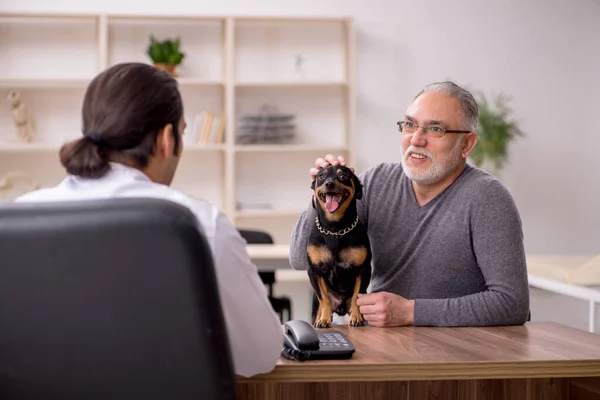 Ung manlig läkare veterinär undersöka hund på kliniken — Stockfoto