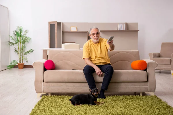 Homem envelhecido com cachorrinho em casa — Fotografia de Stock
