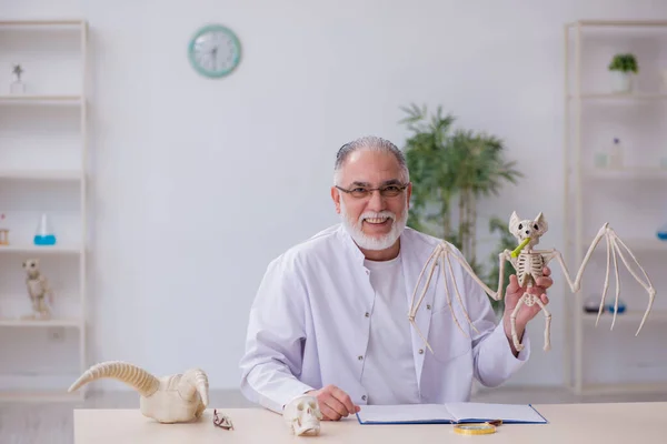 Viejo paleontólogo masculino examinando aves en el laboratorio — Foto de Stock