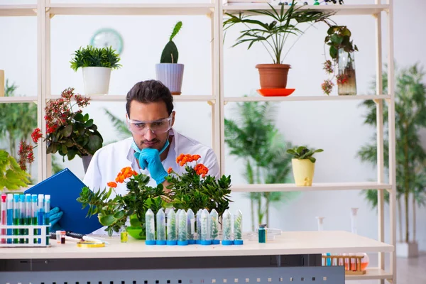 Giovane profumiere di chimica maschile che lavora in laboratorio — Foto Stock