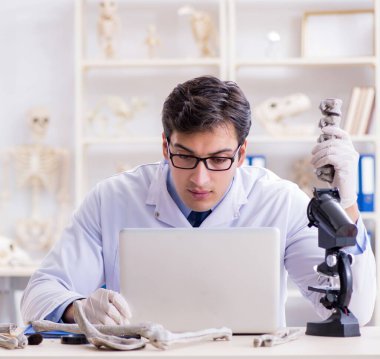 Profesör laboratuvarda insan iskeletini inceliyor.