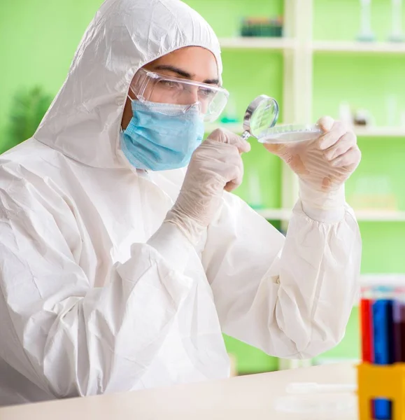 Químico trabajando en el laboratorio en un nuevo experimento —  Fotos de Stock