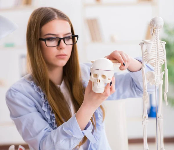 Student sitzt im Klassenzimmer und studiert Skelett — Stockfoto