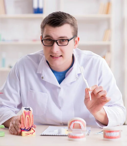 Tandarts werkende tanden implanteren in medisch lab — Stockfoto