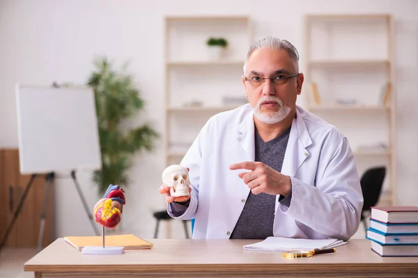 Старый учитель-врач объясняет человеческий череп — стоковое фото