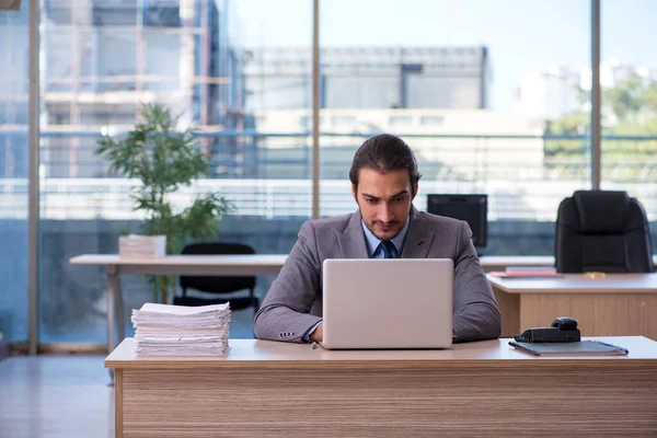 Giovane dipendente maschile che lavora in ufficio — Foto Stock