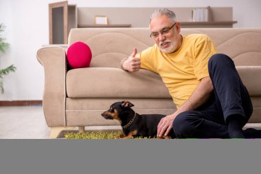 Evde köpeği olan yaşlı bir adam.