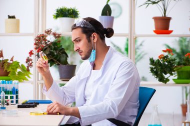 Laboratuvarda çalışan genç erkek kimyager parfümcüsü.