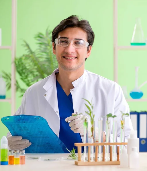 Jovem cientista biotecnológico químico que trabalha em laboratório — Fotografia de Stock