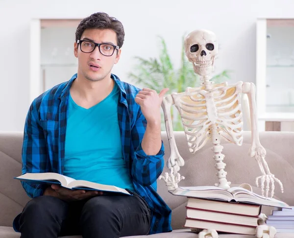 Estudiante estudiando con esqueleto preparándose para los exámenes —  Fotos de Stock