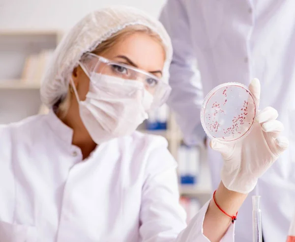 Mujer joven doctora en el laboratorio de la clínica del hospital —  Fotos de Stock