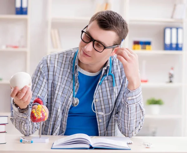 Estudante de medicina estudando esqueleto em sala de aula durante palestra — Fotografia de Stock