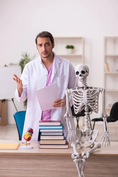 Молодой студент-врач изучает человеческий скелет в классе — стоковое фото