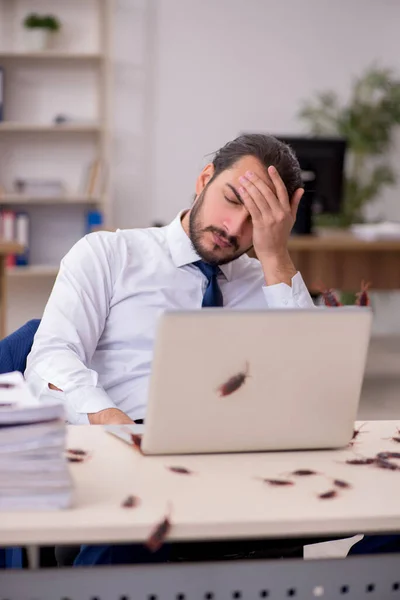 Ung manlig anställd och för många kackerlackor på kontoret — Stockfoto