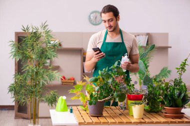 Evin içinde bitkileri olan genç bir erkek bahçıvan.