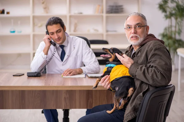 Ung manlig läkare veterinär undersöka hund på kliniken — Stockfoto