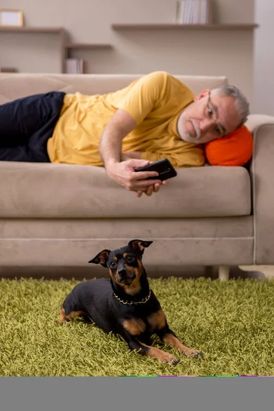 Homem envelhecido com cachorrinho em casa — Fotografia de Stock