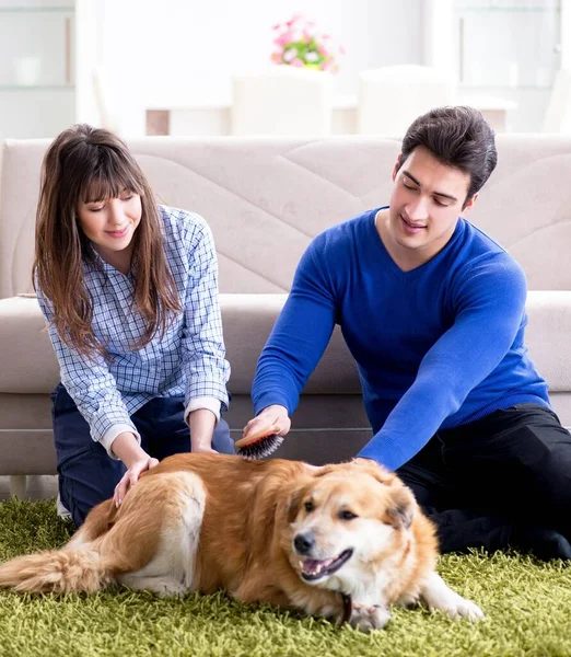 Golden retriever köpeğiyle mutlu bir aile — Stok fotoğraf
