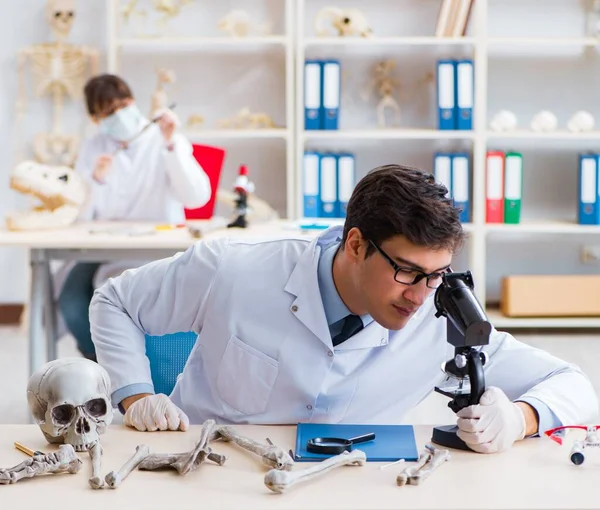 Professeur étudiant le squelette humain en laboratoire — Photo