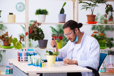 Laboratuvarda çalışan genç erkek kimyager parfümcüsü.