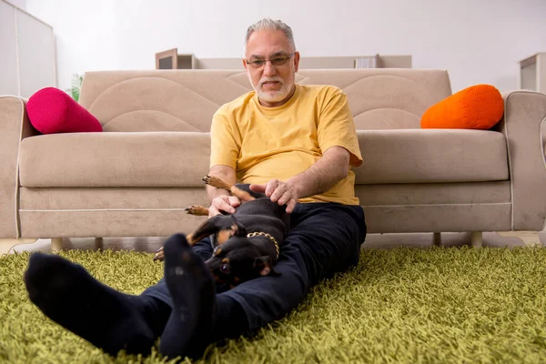 Öregember kiskutyával otthon — Stock Fotó