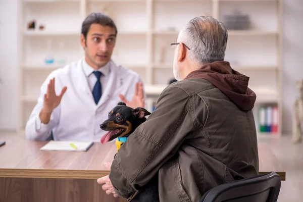 Ung manlig läkare veterinär undersöka hund på kliniken — Stockfoto