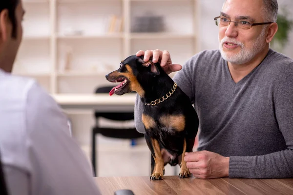 Ung manlig läkare veterinär undersöka hund på kliniken — Stockfoto