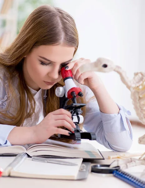 Studerande undersöker djurskelett i klassrummet — Stockfoto