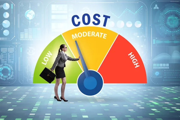 Kostenmanagement-Konzept mit Unternehmerin — Stockfoto