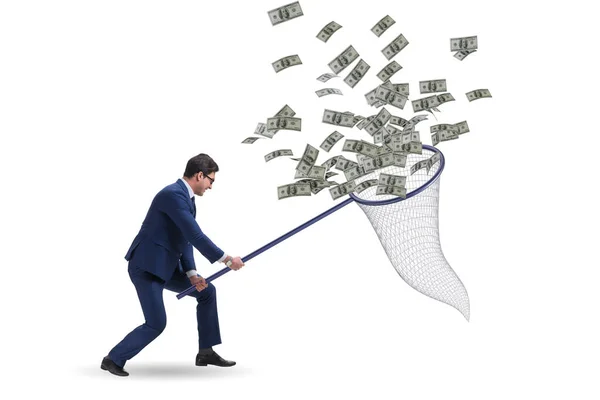 Young businessman catching dollars with landing net — Stock Photo, Image