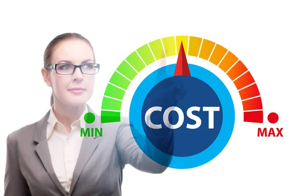 Empresaria en concepto de gestión de costes — Foto de Stock