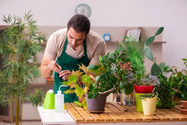 Evin içinde bitkileri olan genç bir erkek bahçıvan.