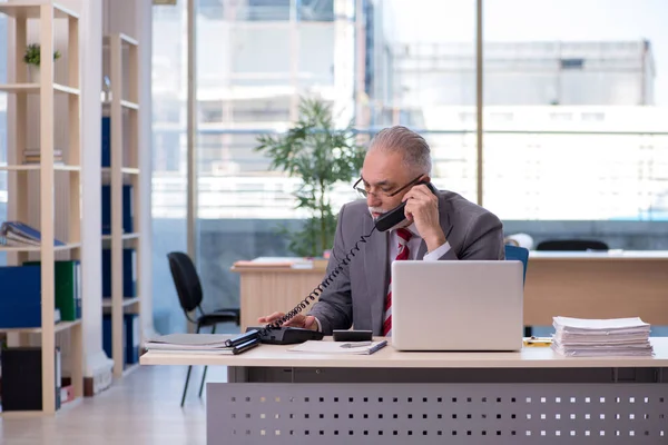 Aged businessman employee working in the office — Stock Photo, Image
