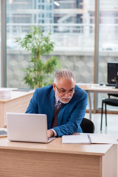 Oude mannelijke baas werknemer werken in het kantoor — Stockfoto