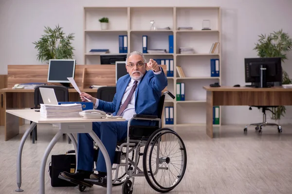 Velho empresário empregado em cadeira de rodas trabalhando no escritório — Fotografia de Stock
