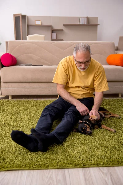 Ηλικιωμένος άντρας με σκυλάκι στο σπίτι. — Φωτογραφία Αρχείου