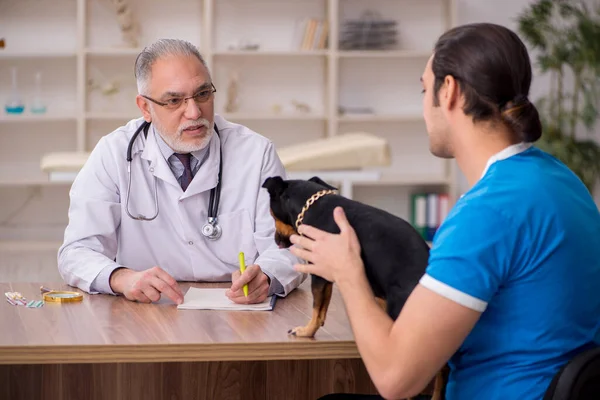 Gammal manlig veterinär läkare undersöka hund på kliniken — Stockfoto