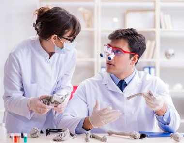 Profesör laboratuvarda insan iskeletini inceliyor.