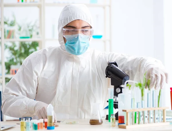 Mannlig biokjemiker som arbeider på plantelaben – stockfoto