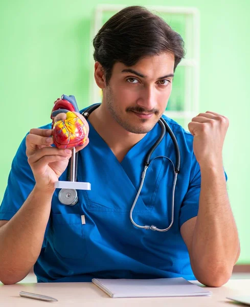 Estudante médico explicando problemas cardíacos — Fotografia de Stock