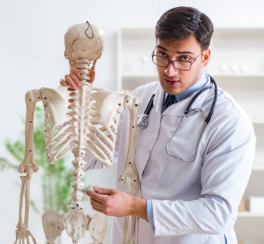 İskeleti beyaz olan Yong erkek doktoru.