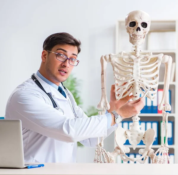 Yong männlicher Arzt mit Skelett isoliert auf weiß — Stockfoto